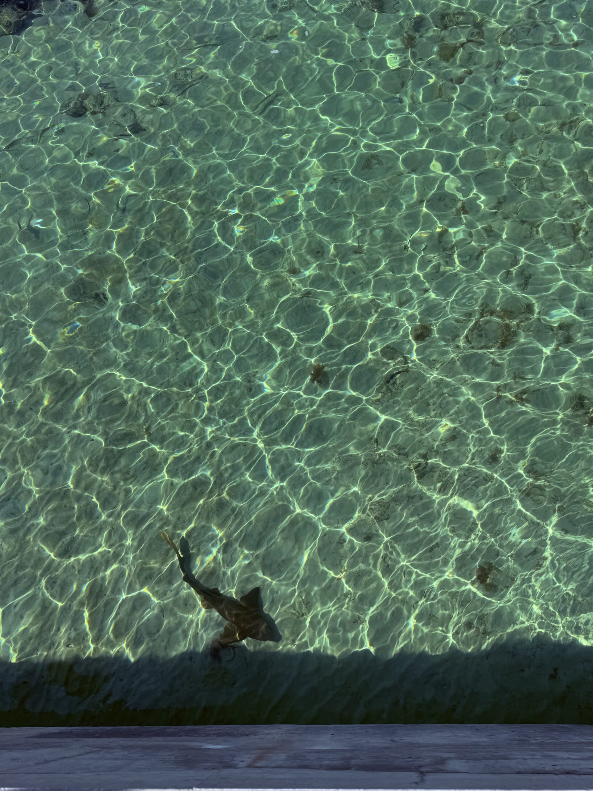 Florida Keys Clear Water